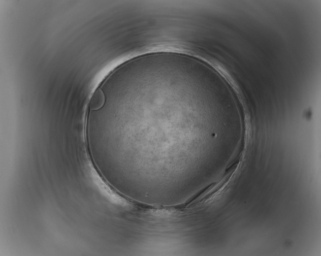 X0000112411246200908211114