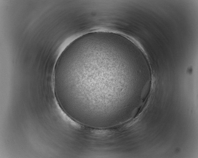 X0000112411247200908211114