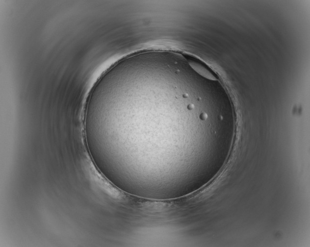 X0000112411248200908211114