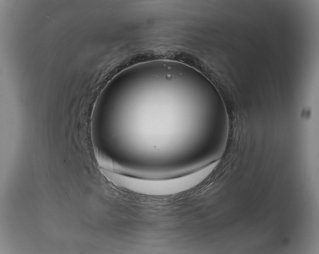 X0000112411249200908211113