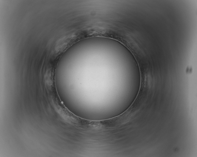 X0000112411250200908211113