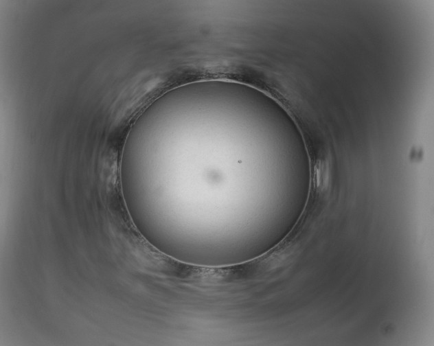 X0000112411251200908211113