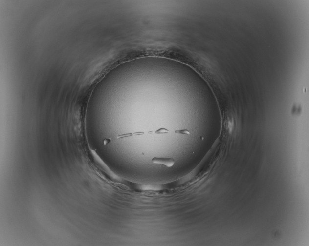 X0000112411252200908211113