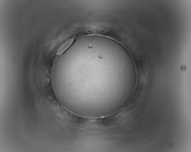 X0000112411253200908211113