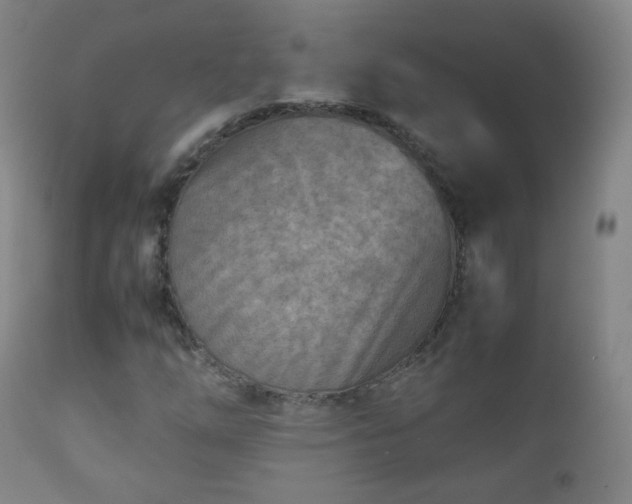 X0000112411254200908211113