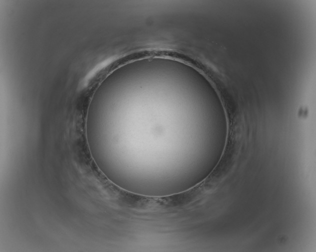 X0000112411255200908211113