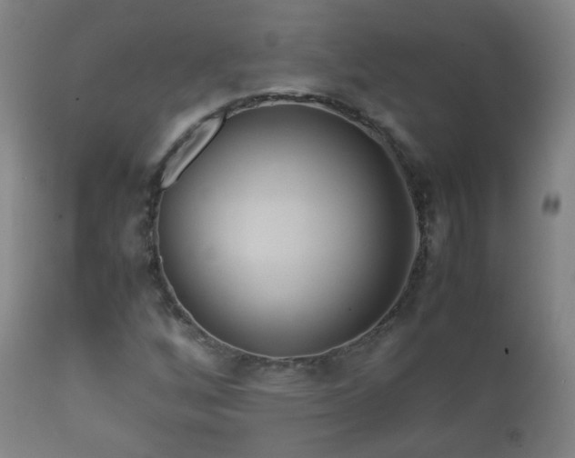 X0000112411256200908211113
