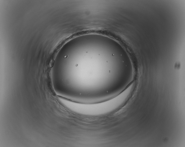 X0000112411257200908211113
