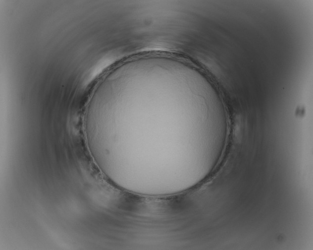 X0000112411258200908211113