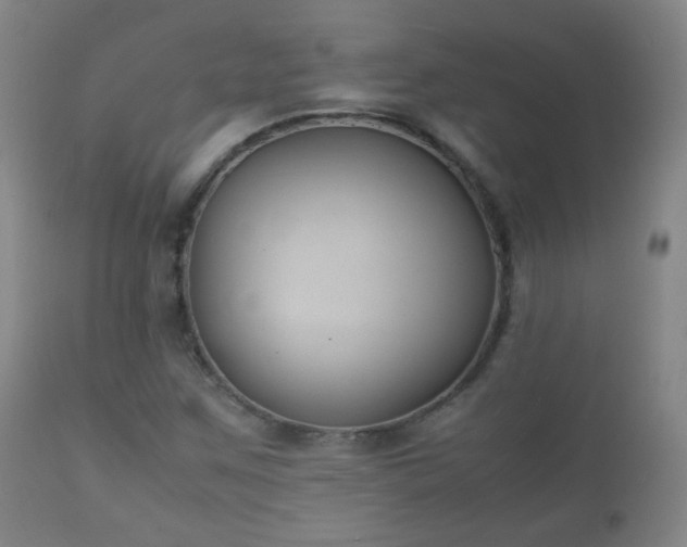 X0000112411259200908211113