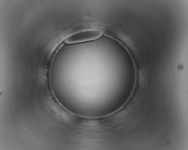 X0000112411260200908211113