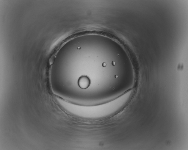 X0000112411261200908211113