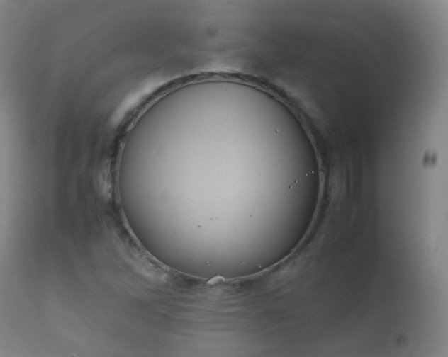 X0000112411262200908211113