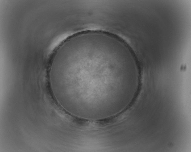 X0000112411263200908211113