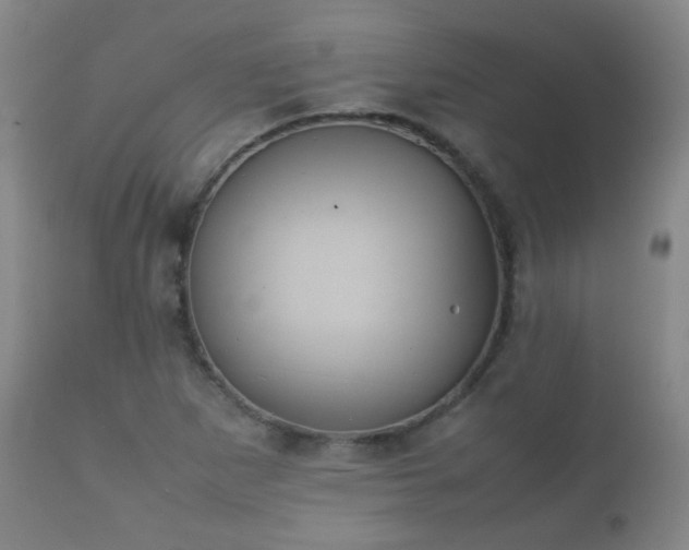 X0000112411265200908211113
