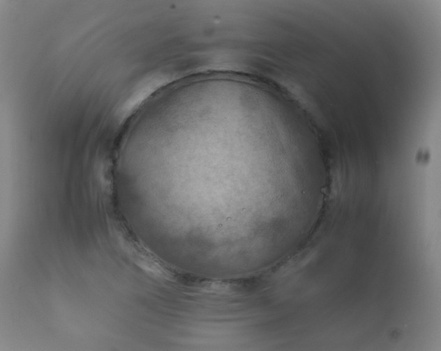 X0000112411266200908211113