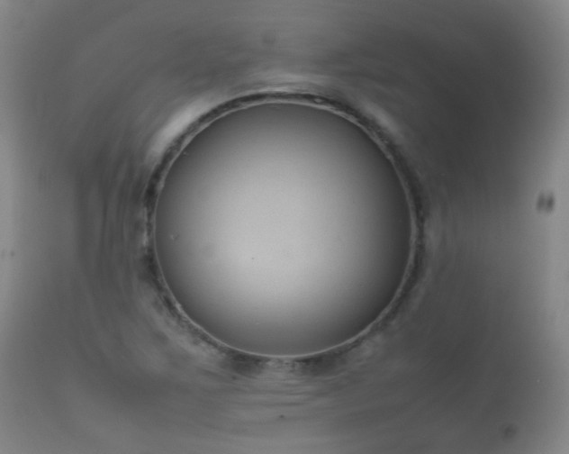 X0000112411267200908211113