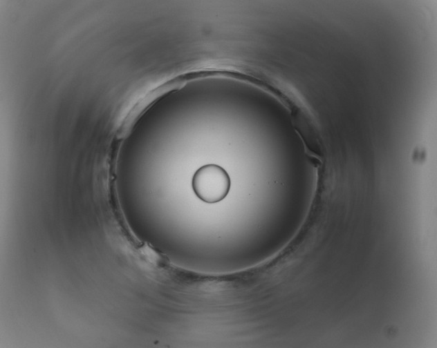 X0000112411268200908211113