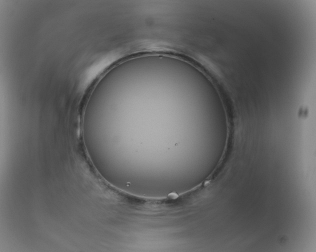 X0000112411269200908211113