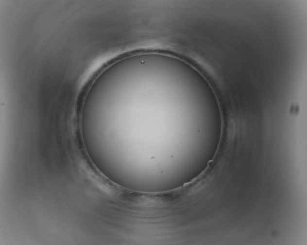 X0000112411270200908211113