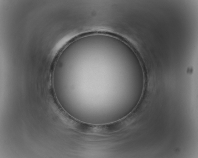 X0000112411271200908211113