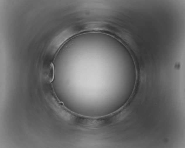 X0000112411273200908211113