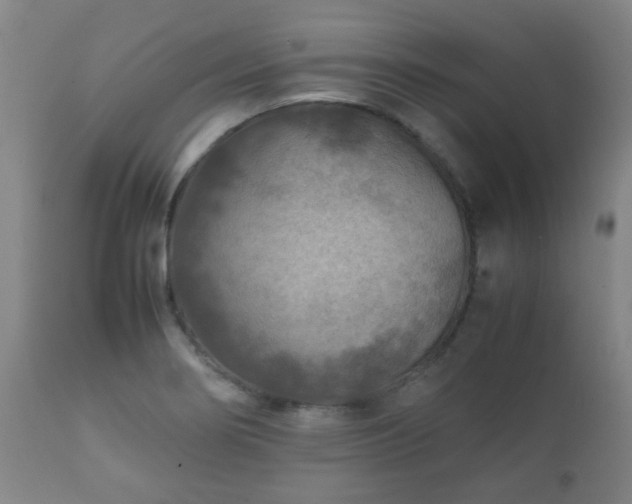 X0000112411274200908211113