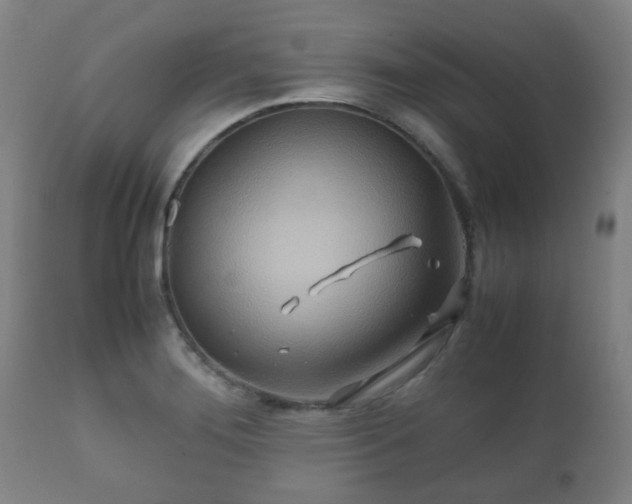 X0000112411276200908211113
