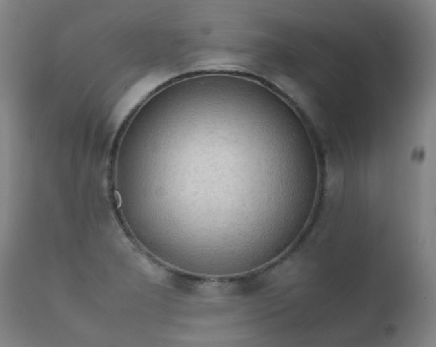 X0000112411277200908211113