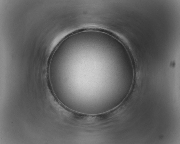 X0000112411279200908211113