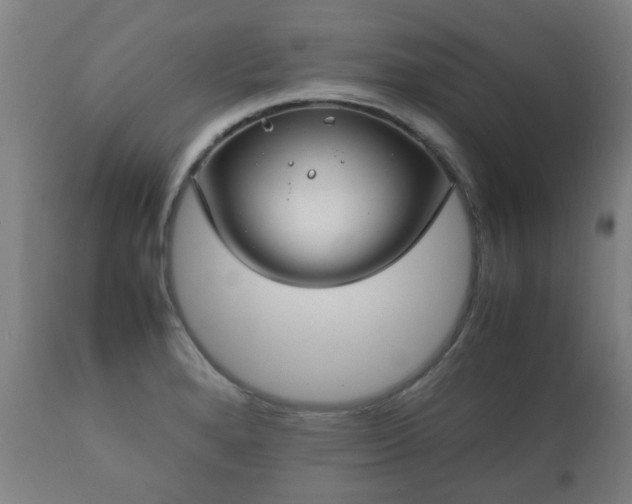X0000112411280200908211113