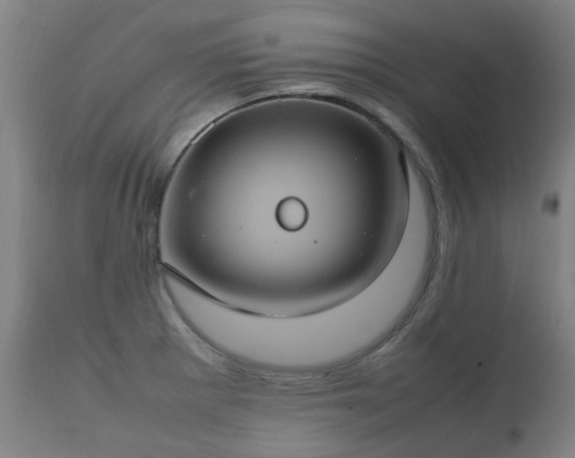 X0000112411281200908211113