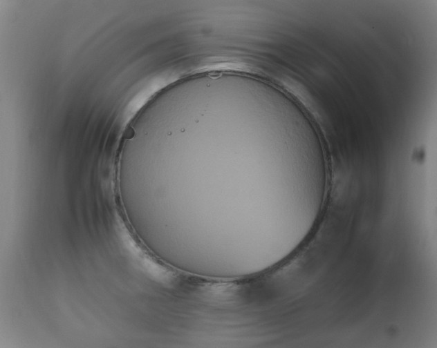 X0000112411282200908211113