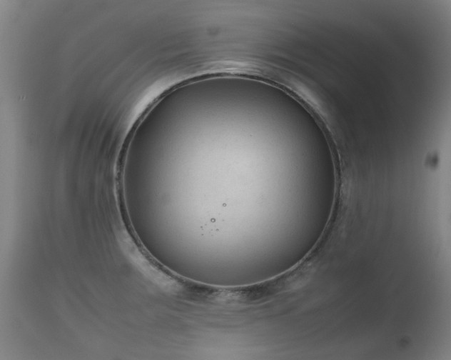 X0000112411283200908211113