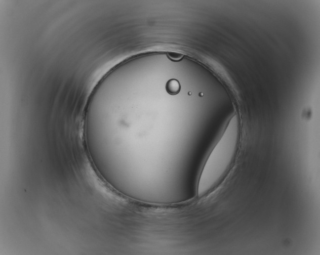 X0000112411284200908211112