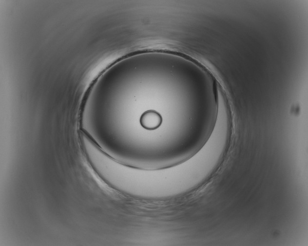 X0000112411285200908211112