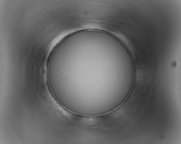 X0000112411286200908211112