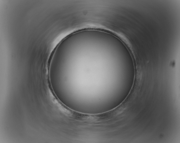 X0000112411287200908211112