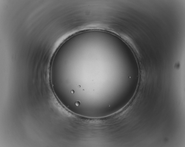 X0000112411288200908211112