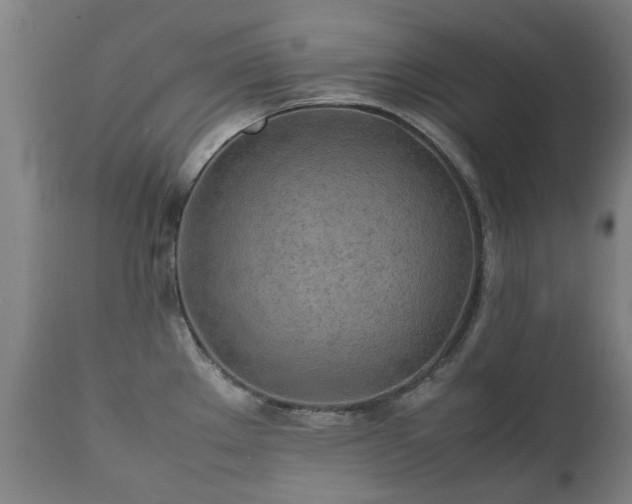X0000112411289200908211112