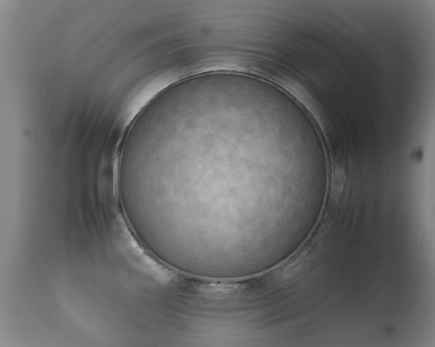 X0000112411290200908211112