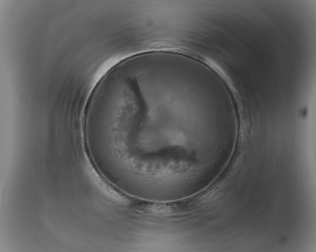 X0000112411291200908211112