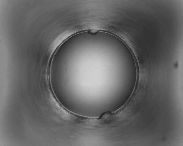 X0000112411293200908211112