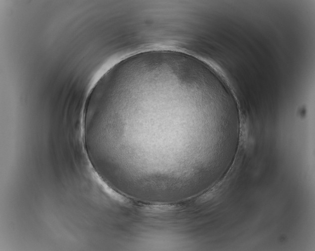 X0000112411294200908211112