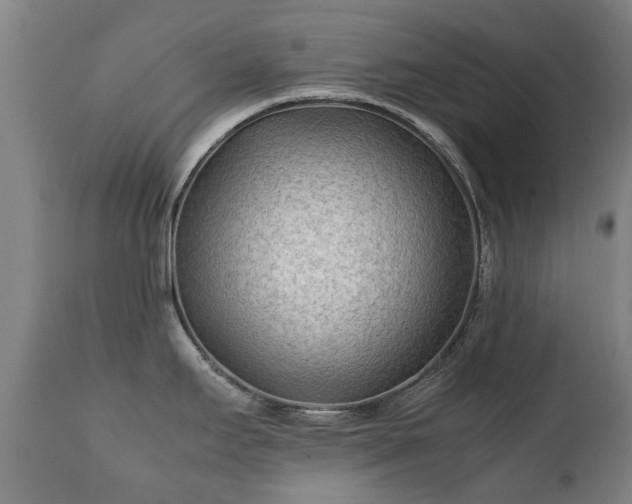 X0000112411295200908211112