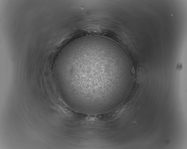 X0000112411297200908211111