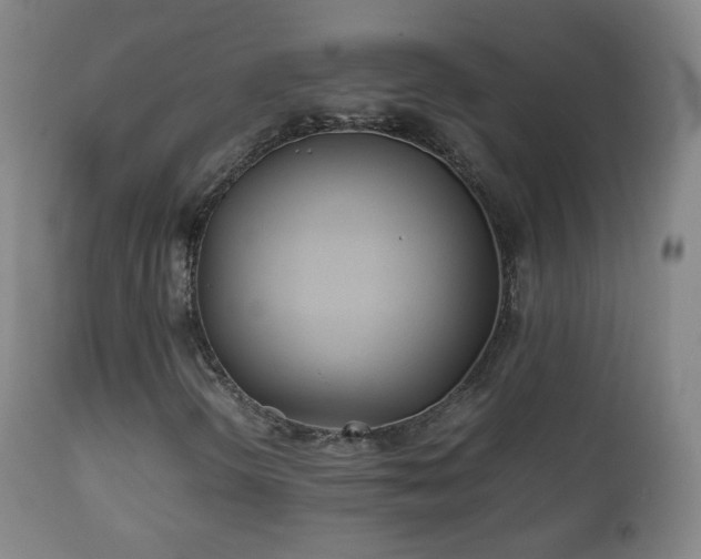 X0000112411298200908211112
