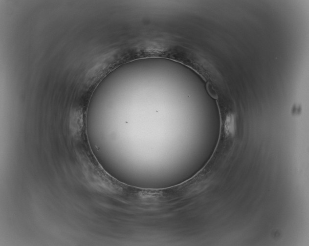 X0000112411299200908211112
