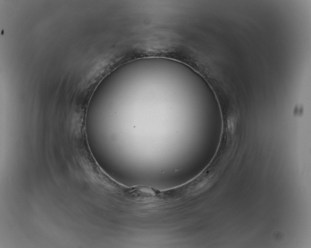 X0000112411300200908211112