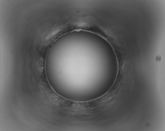 X0000112411301200908211112